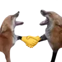FD_FopHandshake