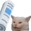 bop