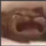 cry