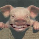 :johnpork: