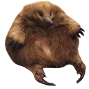 fatfuck fatfuck