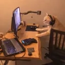 gaming