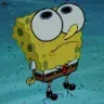 spong