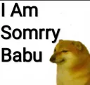 sorry_babu