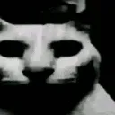 fear