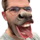 feeling_horse