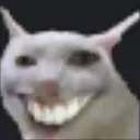 cat3