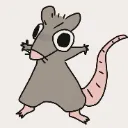rat