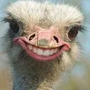 Thesmilinghen