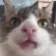 guh