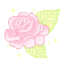 Pink_Rose