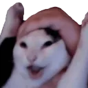 wahoo