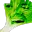 LEEKD1x LEEKD1x