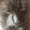 MeWhenIGetYou