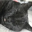 Sleppy
