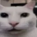 hauh hauh