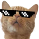 coolwilbur
