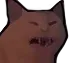 catnooooooodisgust