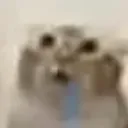 uhhh