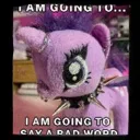TwilightSwearWord