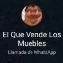 eco_eqvlm