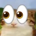 meowl_eyes meowl_eyes