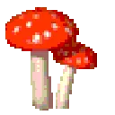 mushroom