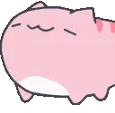bcat_nod_pink