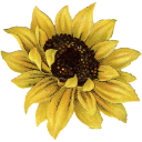 Sunflower Discord emoji