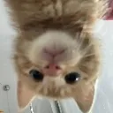 herro