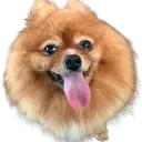 fluffball