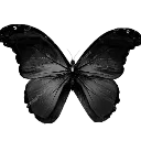0331_black_butterfly