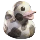 gentle_duck
