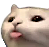 cattongue custom emote - Friends 18+ Sfw | Adults-only • active-chat • Mature • Friendly • Gaming • Lgbtq+ • Hangout