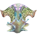silly_snail