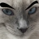 catsmirk2