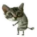 catshaker catshaker