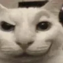 smirkcat