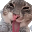 yum