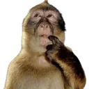 monkeythink