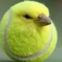 tennisball