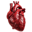 heart_realism Discord Emoji | Sunflower's Basement