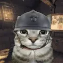 cat_soldier