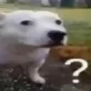 buh