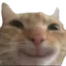 casmoyl