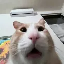 huh