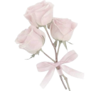 pink_roses Discord emoji