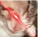 hehe hehe