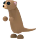 meerkat