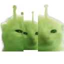 chaosglorp